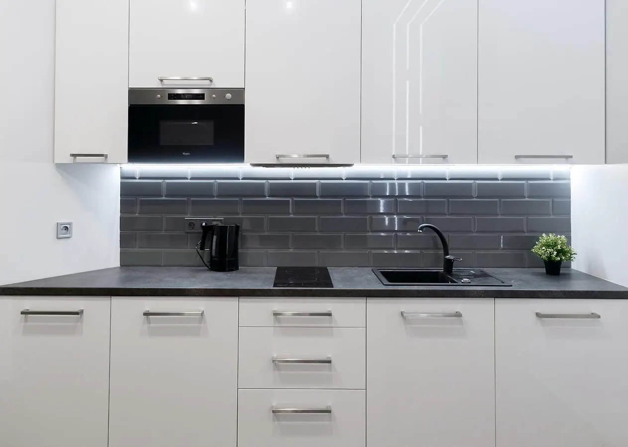 Exciting Apartment Lviv Fireplace location